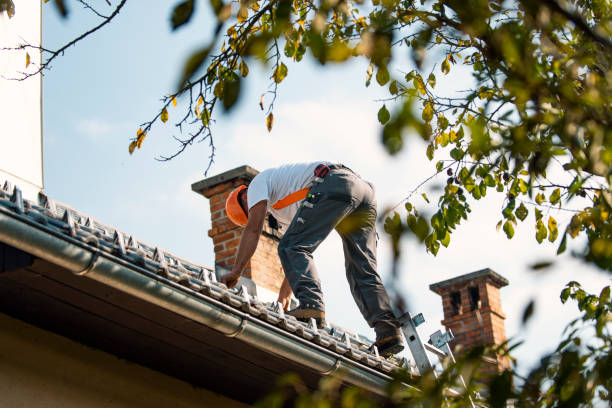 Best Local Roofing Companies  in Cadott, WI