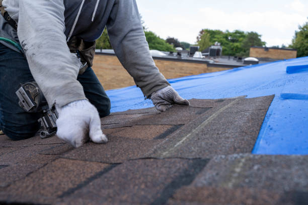 Tile Roofing Contractor in Cadott, WI