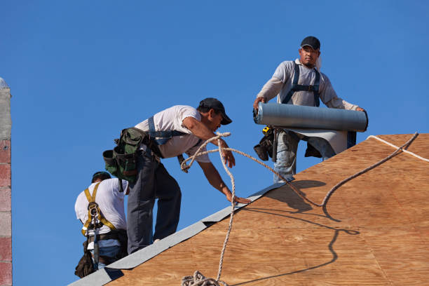 Best Roof Gutter Cleaning  in Cadott, WI
