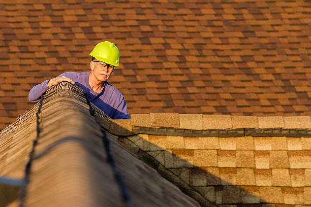 Best Roof Maintenance Services  in Cadott, WI
