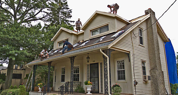 Professional Roofing Contractor in Cadott, WI