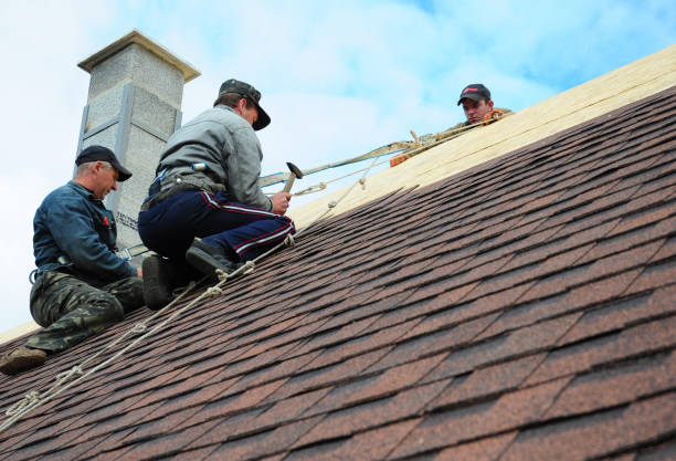 Best Storm Damage Roof Repair  in Cadott, WI