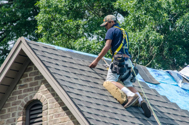 Best Residential Roofing Contractor  in Cadott, WI